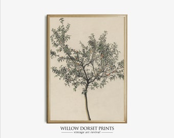 Vintage Fruit Tree Botanical Print | Printable Digital Download | 1111