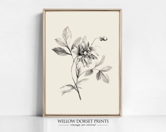 Antique Floral Sketch | Printable Art | Vintage Botanical Sketch | Vintage Floral Drawing | Floral Pencil Sketch | French Country Art | 1072