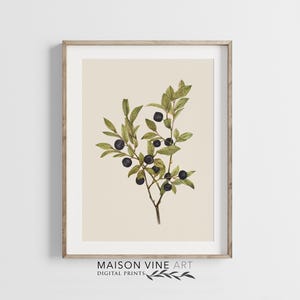 Huckleberry Print | Printable Vintage Art | Farmhouse Kitchen | Botanical Wall Decor | 1112
