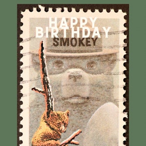 Cartão de Aniversário do Urso Smokey