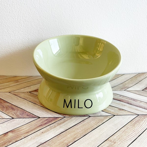 Green Ceramic Personalized Elevated Cat Food Bowl, Ceramic Raised and Tilted Pet Bowl, good for spine Cat Dish, Small dog dish. Spine relief