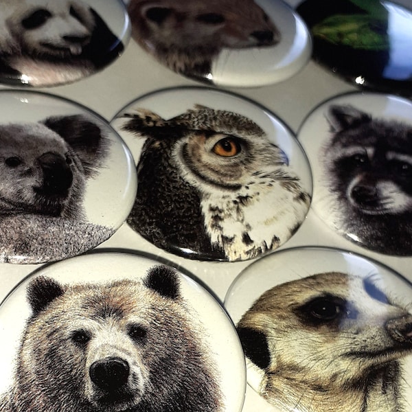 Badges portraits animaux réalistes (23)