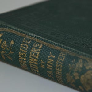 Könnte beinhalten: Ein grünes Hardcover-Buch mit goldenen Lettern auf dem Rücken. Der Titel lautet "Wayside Flowers" von Fanny Forester.
