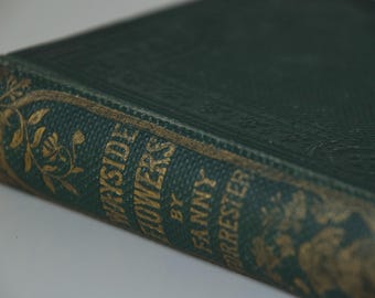 Flores al borde del camino, edición ilustrada de 1860, Cuentos de Fanny Forester