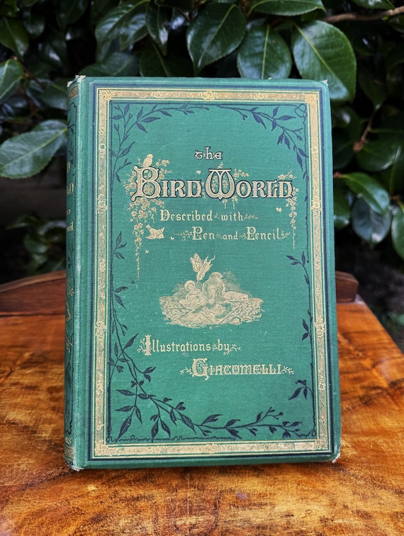 Antique 1878 “The Bird World” Illustrated Book – Giacomelli Engravings, Victorian Nature Book