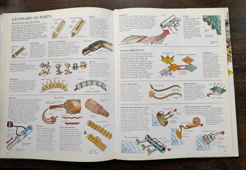 Zoo Guide Robot The Robot Zoo Mechanical Animals Guide Hardcover 1994 Obin ...