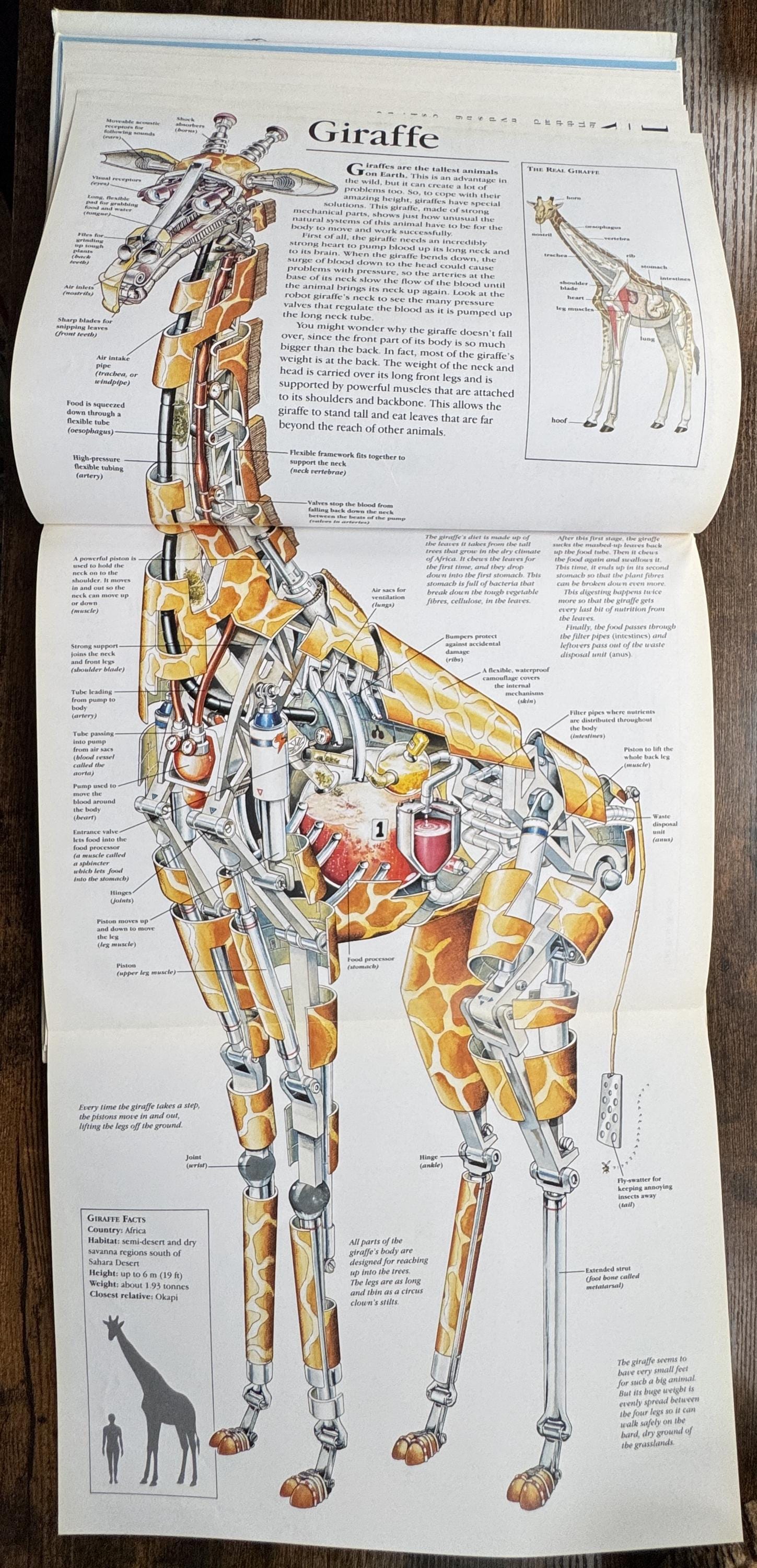 Zoo Guide Robot The Robot Zoo Mechanical Animals Guide Hardcover 1994 Obin ...