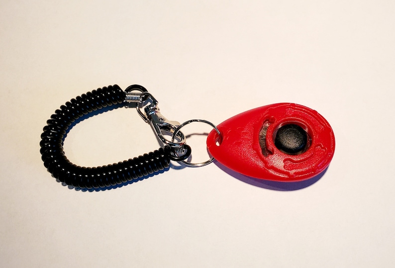 May include: A red dog training clicker with a black button and a black coiled wrist strap. The clicker is oval-shaped and has a metal clip and ring for attachment. The wrist strap is made of a flexible, springy material.