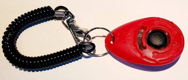 May include: A red dog training clicker with a black button and a black coiled wrist strap. The clicker is attached to a silver metal clasp and a key ring. The clicker is designed for positive reinforcement training.