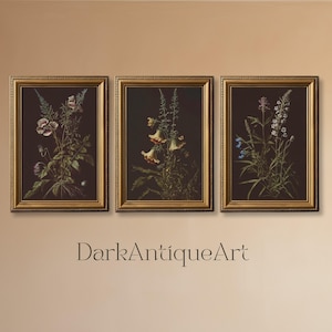Dark Antique Floral Art Print | Vintage Botanical Printable, Moody Aesthetic Wall Art, Dark Academia Home Decor