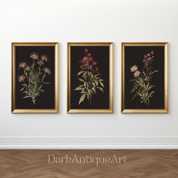 Dark Botanical Gallery Wall Art | Moody Floral Print Set | 3 Piece Wall Art | Dark Academia Print | Digital Download | Printable Wall Art