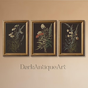 Dark Botanical Gallery Wall Art | Stimmungsvolles Blumendruck-Set | 3-teilige Wandkunst | Dark Academia Druck | Digitaler Download | Druckbare Kunst