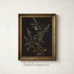Moody Floral Print Set: Dark Botanical Gallery Wall Art (digital ...