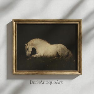 An exquisite print of a white horse set against a shadowy backdrop, ideal for adding sophistication and a dark academia touch.