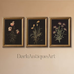 Art mural de galerie botanique foncé | Ensemble imprimé floral Moody | Art mural 3 pièces | Impression académique sombre | Téléchargement numérique | Art mural imprimable