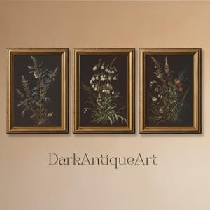 Dark Botanical Gallery Wall Art | Stimmungsvolles Blumendruck-Set | 3-teilige Wandkunst | Dark Academia Druck | Digitaler Download | Druckbare Kunst