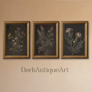 Dark Botanical Gallery Wall Art | Stimmungsvolles Blumendruck-Set | 3-teilige Wandkunst | Dark Academia Druck | Digitaler Download | Druckbare Kunst