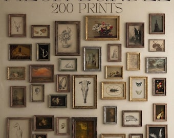 Dark Academia Botanical Gallery Wall Set, 200 Antique Printable Art Prints, Gothic Library Decor Digital Download