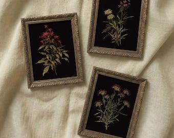 Conjunto de estampados florales melancólicos: Arte mural de galería botánica oscura (descarga digital)