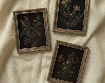Moody Floral Print Set: Dark Botanical Gallery Wall Art (Digital Download)