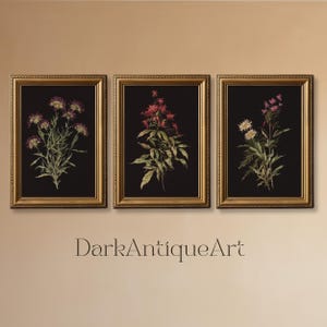 Dark Botanical Gallery Wall Art | Moody Floral Print Set | 3 Piece Wall Art | Dark Academia Print | Digital Download | Printable Wall Art