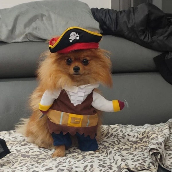 Dog & Cat Halloween Costume, Pirate Pet Costume, Halloween Pet Outfit, Cute Dog Costume, Trendy Pet Costume, Halloween Costume Small Dogs
