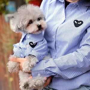 Trendy Designer Dog and Cat Sweater, Luxury Pet Sweater, Stylish Cute Puppy Sweater, Spring Designer Dog Sweater, Modern Puppy Apparel