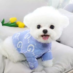 Designer dog coats gucci online