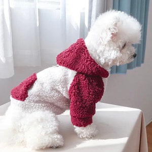Trendy Designer Dog and Cat Sweater, Luxury Pet Jacket, Dog Clothes for Spring, Modern Puppy Apparel, Cute Dog Clothes, Designer Dog Jacket image 4