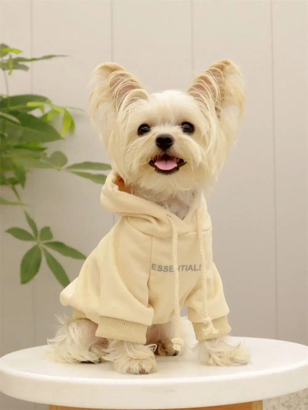 Pawtton Designer Dog Raincoat With Hood