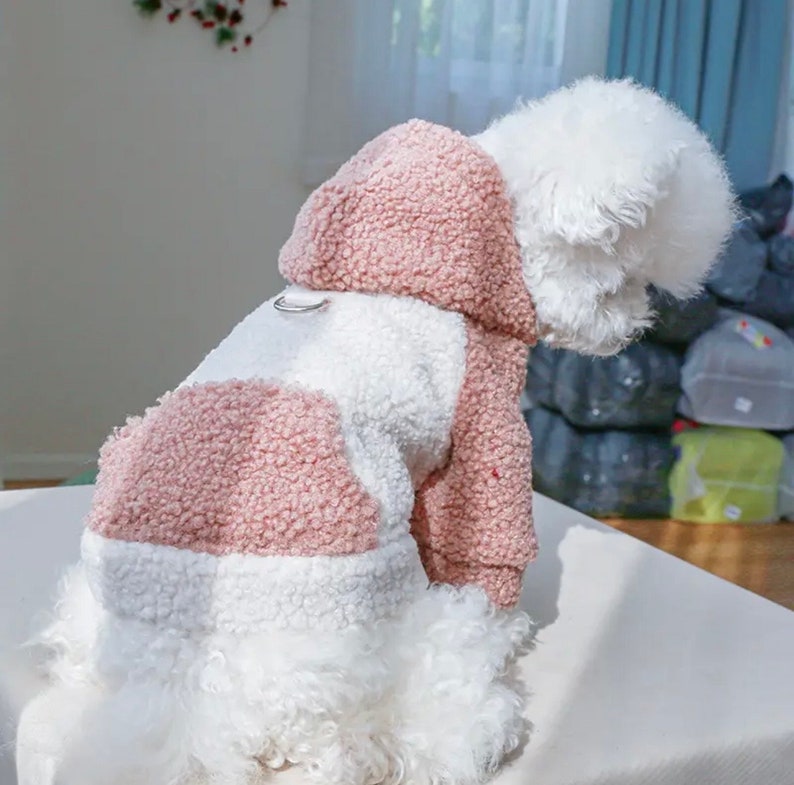 Trendy Designer Dog and Cat Sweater, Luxury Pet Jacket, Dog Clothes for Spring, Modern Puppy Apparel, Cute Dog Clothes, Designer Dog Jacket image 3