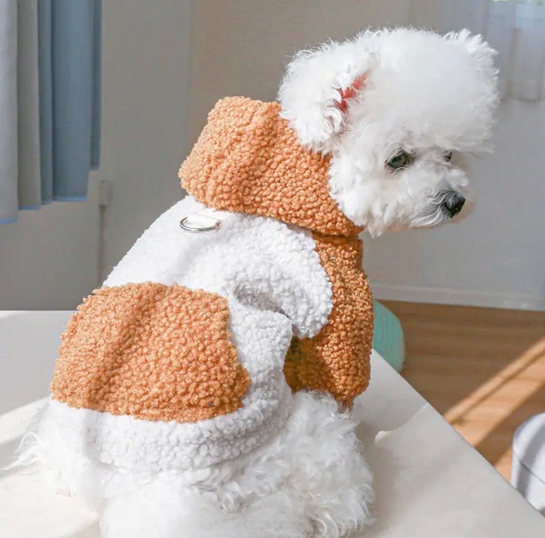 Trendy Designer Dog and Cat Sweater, Luxury Pet Jacket, Dog Clothes for Spring, Modern Puppy Apparel, Cute Dog Clothes, Designer Dog Jacket image 1