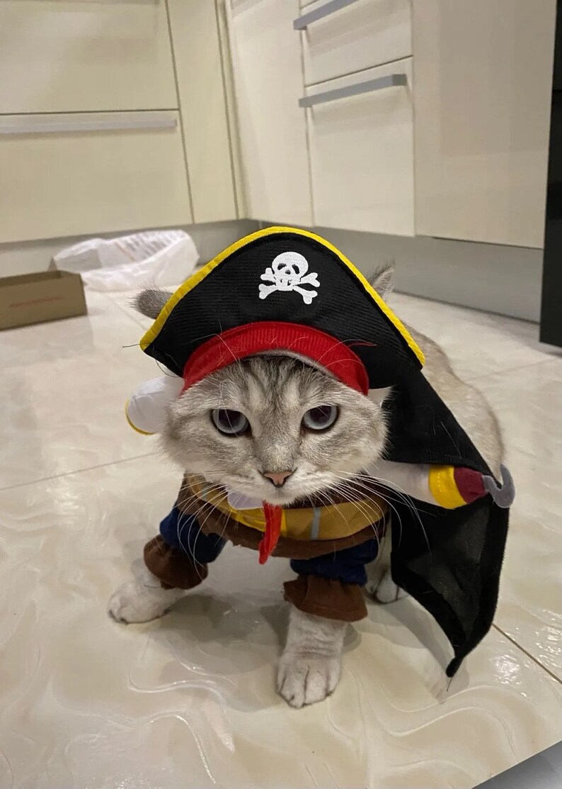 Dog & Cat Halloween Costume Pirate Pet Costume Halloween Pet Etsy