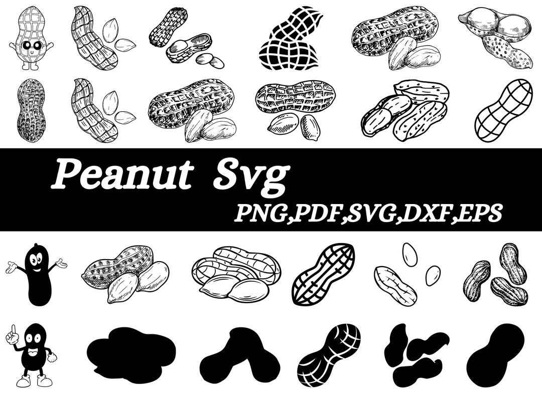 Peanut Silhouette,peanut Bundle,peanut in Shell,peanut Vector Svg,food