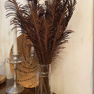 May include: A clear glass vase filled with dried brown fern fronds. The vase is sitting on a wooden table.
