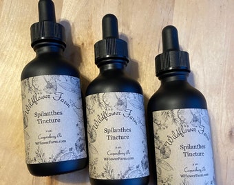Spilanthes Tincture (Spilanthes acmella) - A Potent Burst of Herbal Wellness