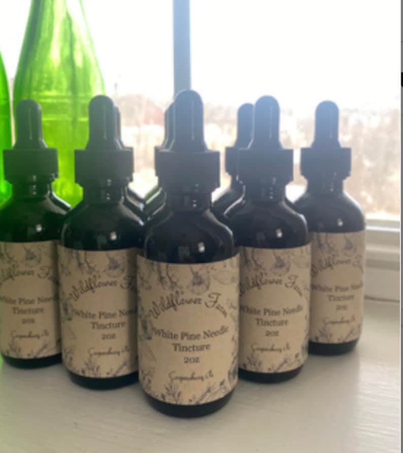 Eastern White Pine Needle Tincture Etsy