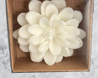 Daisy candle with acetate box