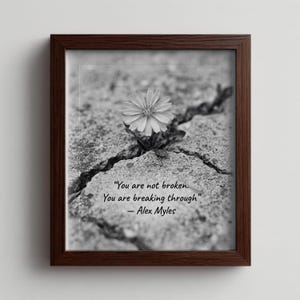 Puede incluir: Impresión enmarcada en blanco y negro que muestra una flor que crece a través de una grieta en el hormigón. Incluye la cita "You are not broken. You are breaking through" de Alex Myles.