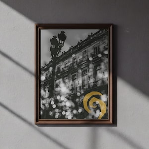 May include: Framed black and white photograph of a European building facade with balconies and a street lamp. A gold spiral design is in the foreground. The frame is a dark brown color.