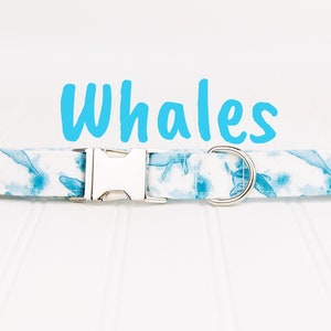 May include: A white dog collar with a blue whale print and the word "Whales" in blue text. The collar has a silver buckle and a silver D-ring.