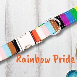 May include: A rainbow striped dog collar with a silver buckle and D-ring. The collar is on a white wooden surface with the text "Rainbow Pride" written in orange.