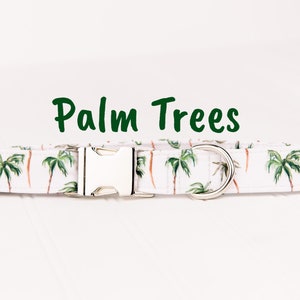 May include: White dog collar with a silver buckle and a silver D-ring. The collar has a repeating pattern of green palm trees on a white background. The text "Palm Trees" is written in green above the collar.