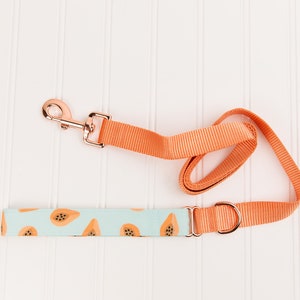 Papayas on a Pale Blue Green Dog Leash. Water Resistant Recycled Canvas Adds Functionality to This Fun Funky Fruity Fur-nonmenal Accessory