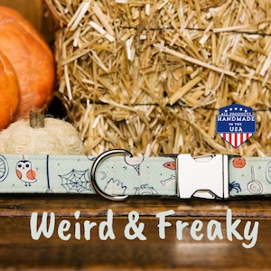 May include: A green dog collar with a whimsical Halloween print featuring owls, pumpkins, spiderwebs, and bicycles. The collar has a silver buckle and a silver D-ring. The text "Weird & Freaky" is printed below the collar. The collar is handmade in the USA.