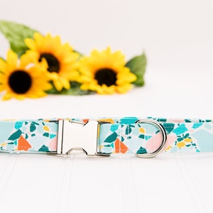 May include: A turquoise, pink, and orange patterned dog collar with a silver buckle and D-ring.