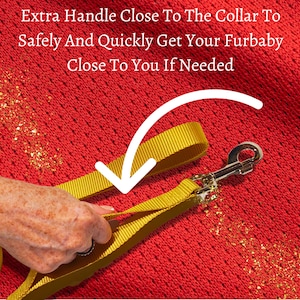 Traffic Handle Webbing Dog Leash. Have the Ability to Quickly Gain Control & Pull Your Dog Close to You by Secondary Handle at End of Leash