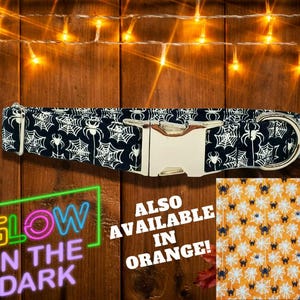 Glow In the Dark Spider Web Dog Collar. Illuminate Your Pup's Nighttime Halloween Walks with Spooky Style & Make It Safer! Black or Orange