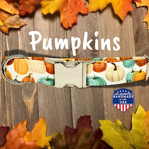 May include: A white dog collar with a pumpkin print. The collar has a silver buckle and a silver D-ring. The collar is surrounded by fall leaves. The text "Pumpkins" is written above the collar. The text "All Products Handmade in the USA" is written below the collar.