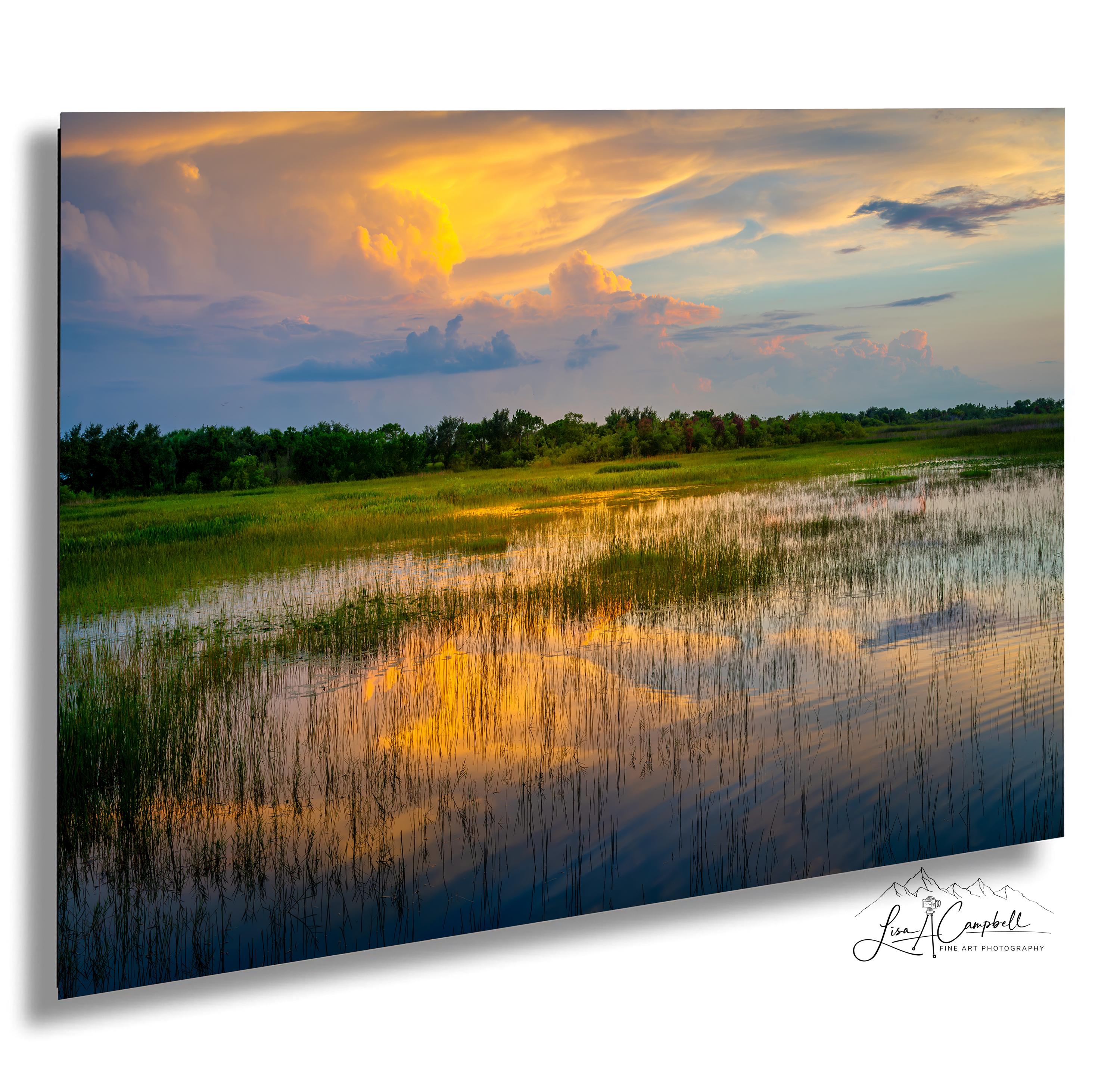 Florida Wetlands Photograph: Stormy Skies Sunset Fine Art Print
